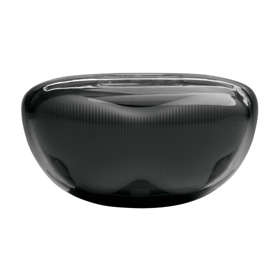 JBL Tune Flex 2 Ghost Edition Crne Slušalice 